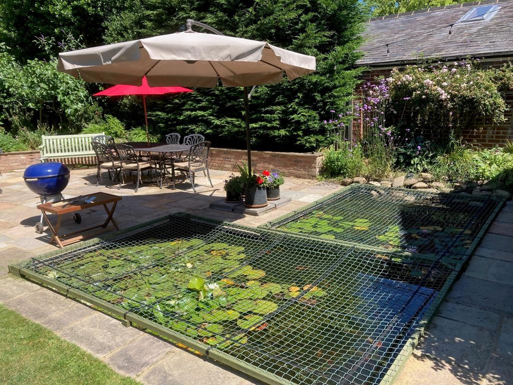 Goldfish Pond