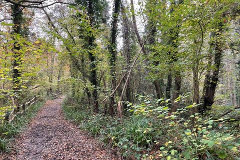 Land for sale, 6 Acre Woodland Plot, Part of Brokes Wood, Off Powder Mill Lane, Southborough, Kent, TN4 9EG