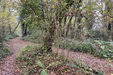 Land for sale, 6 Acre Woodland Plot, Part of Brokes Wood, Off Powder Mill Lane, Southborough, Kent, TN4 9EG