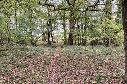 Land for sale, 6 Acre Woodland Plot, Part of Brokes Wood, Off Powder Mill Lane, Southborough, Kent, TN4 9EG