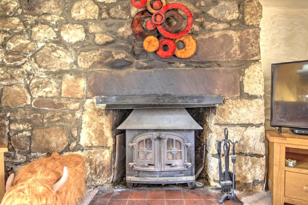 Multi fuel stove
