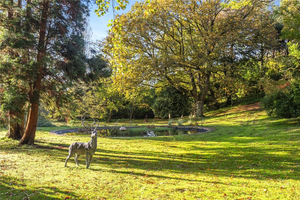 Wooded Grounds