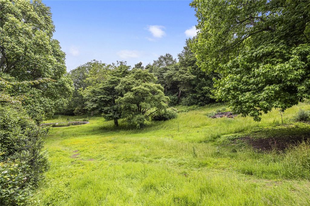 Wooded Garden