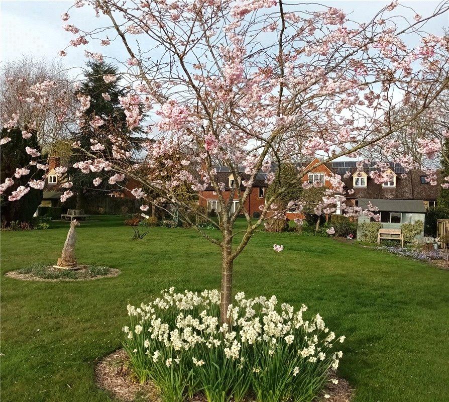 Picture 27