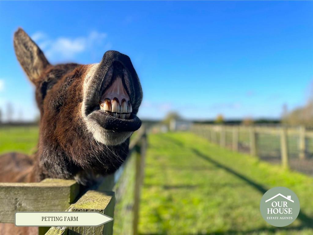 Paddocks and animal housing