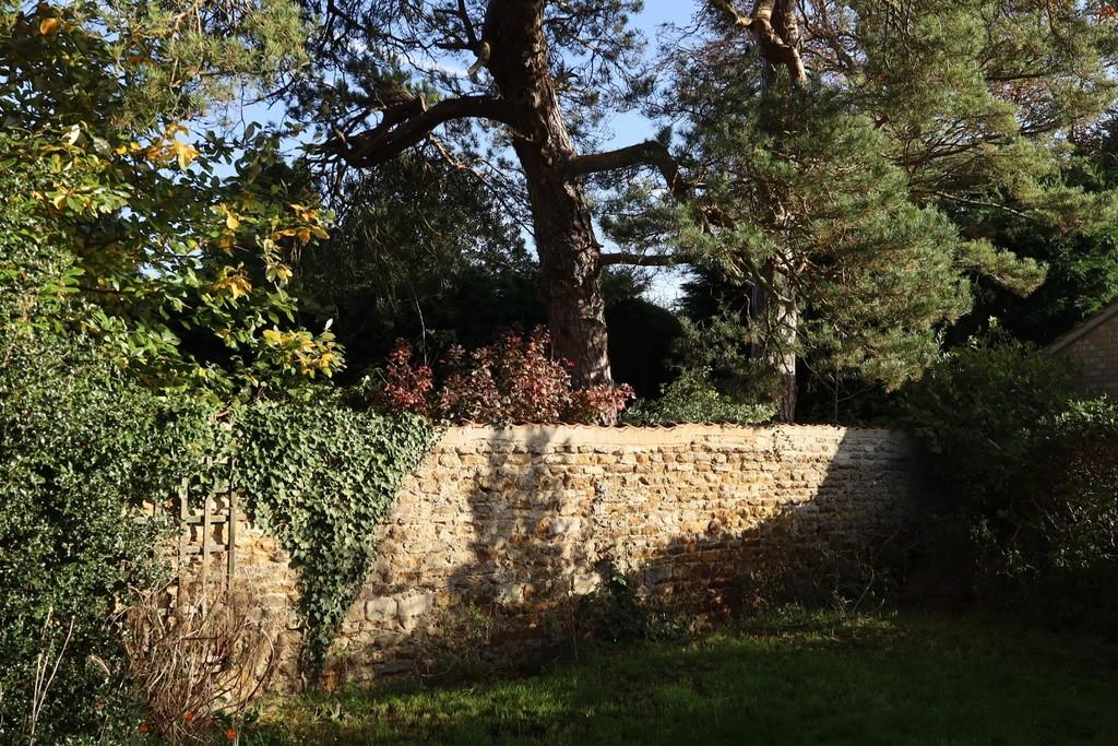 Rear of Property