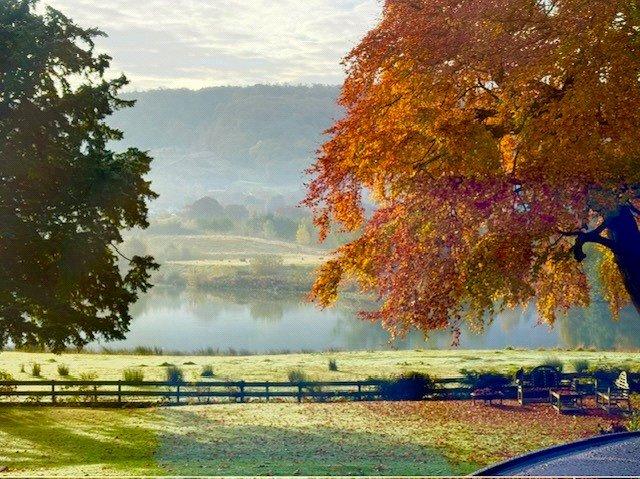 Lake Views