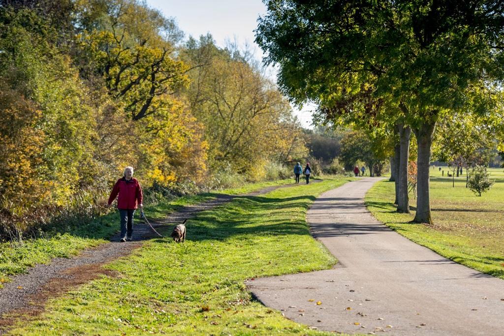 Lots of green space to explore