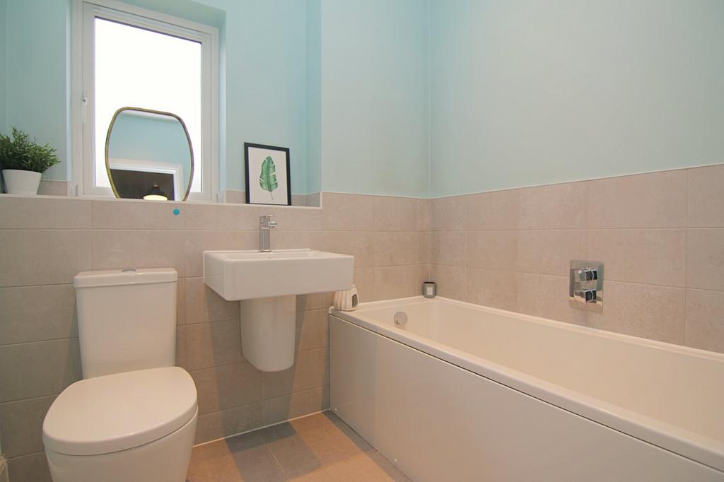 Picture 8