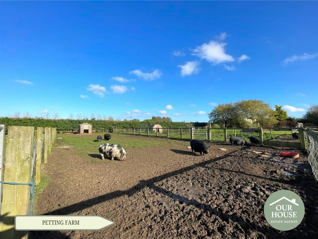 Paddocks and animal housing