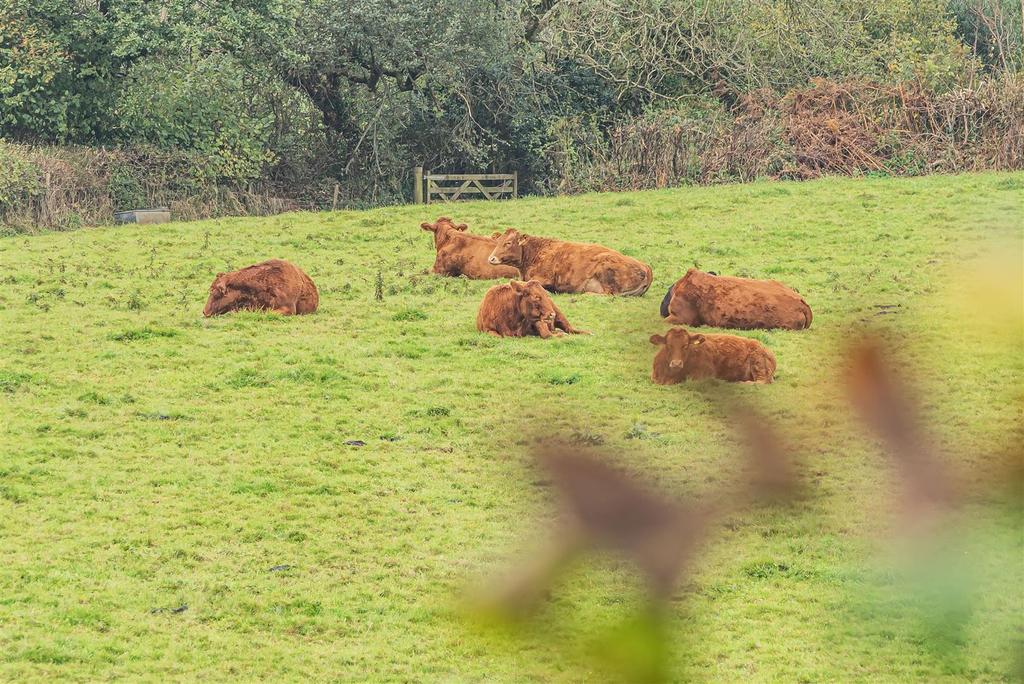 Waterman Pasture.jpg