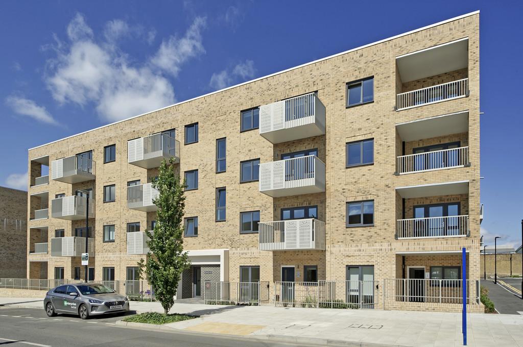 Honeysuckle hse-4256