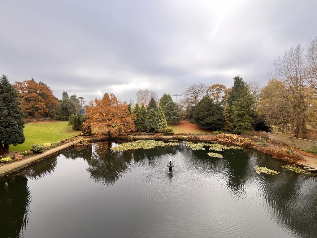 View from balcony