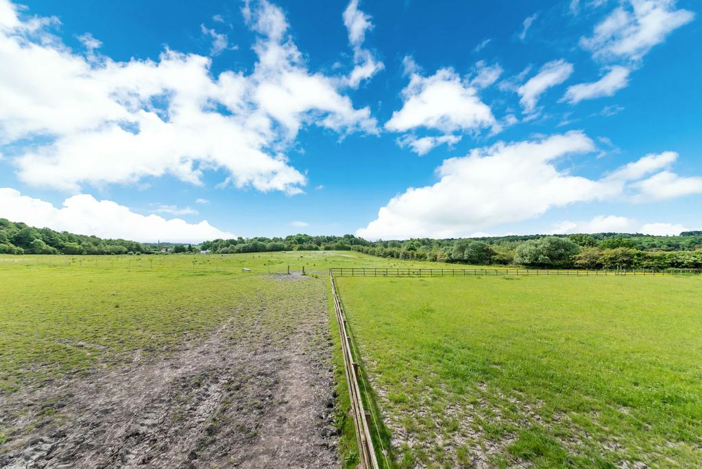 Horse field