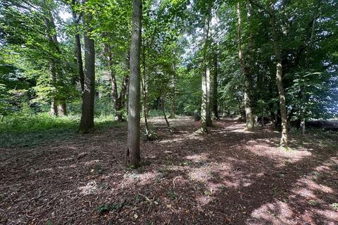 Bardfield Hunts Common, Hartley Wintney, Hook, RG27 8AA