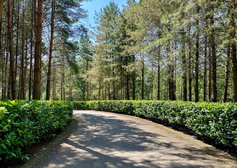 Sweeping Driveway