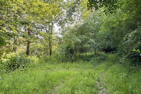 Woodland for sale, Abercych, Pembrokeshire SA43