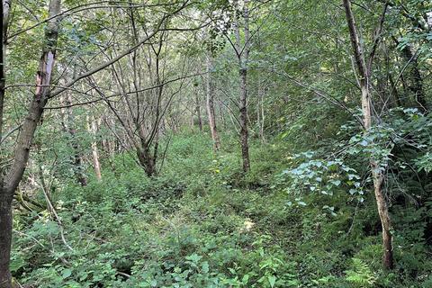 Woodland for sale, Abercych, Pembrokeshire SA43