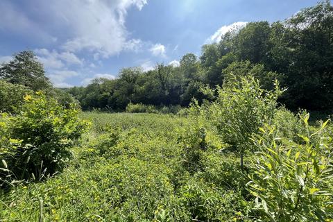 Woodland for sale, Abercych, Pembrokeshire SA43