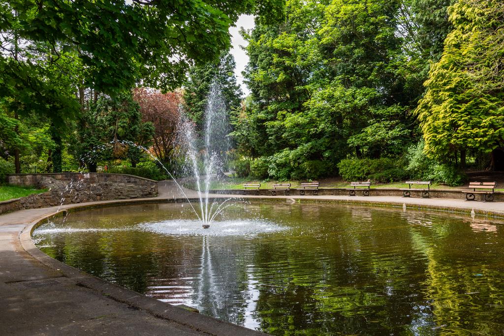 Harrogate 8  (1)