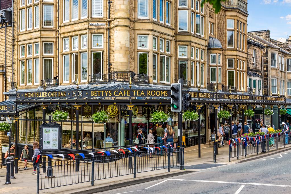 Harrogate 6