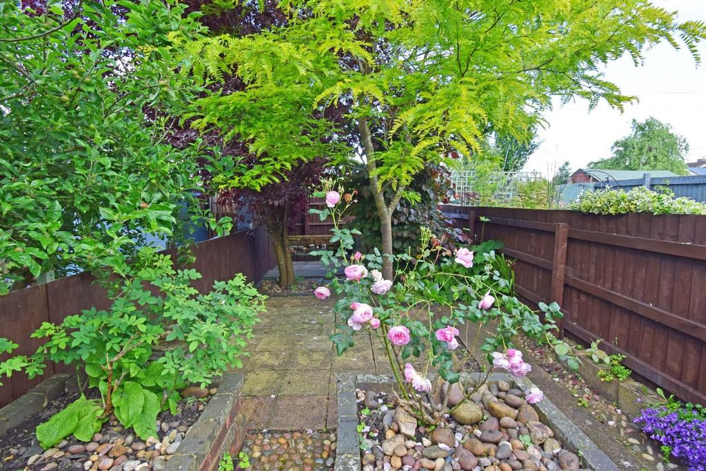 7 Coronation Terrace, garden roses.jpg