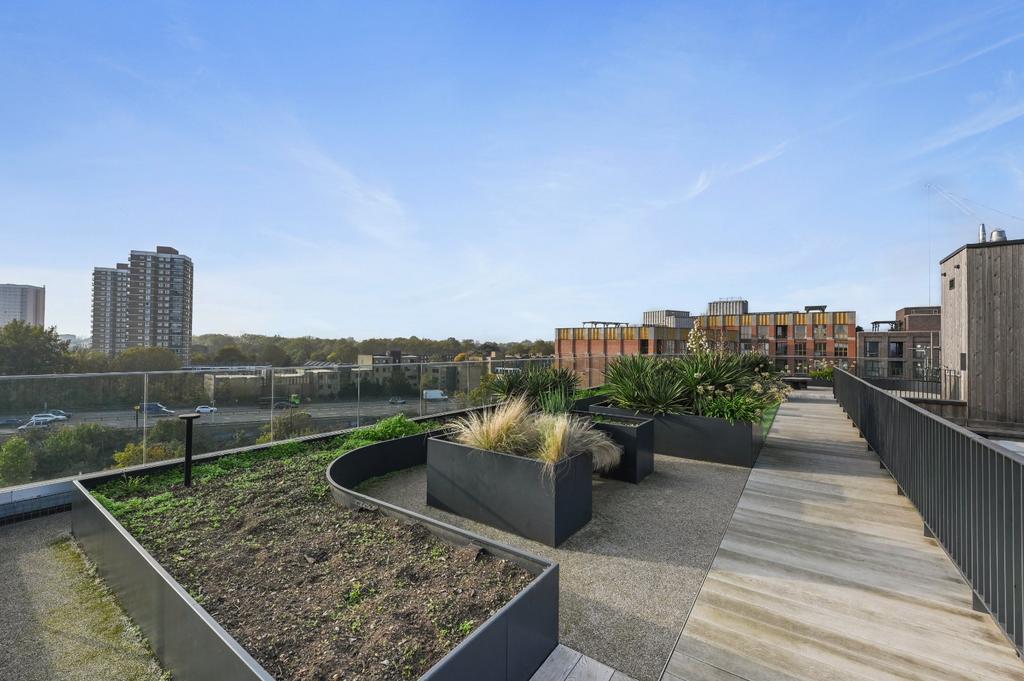 Roof Terrace