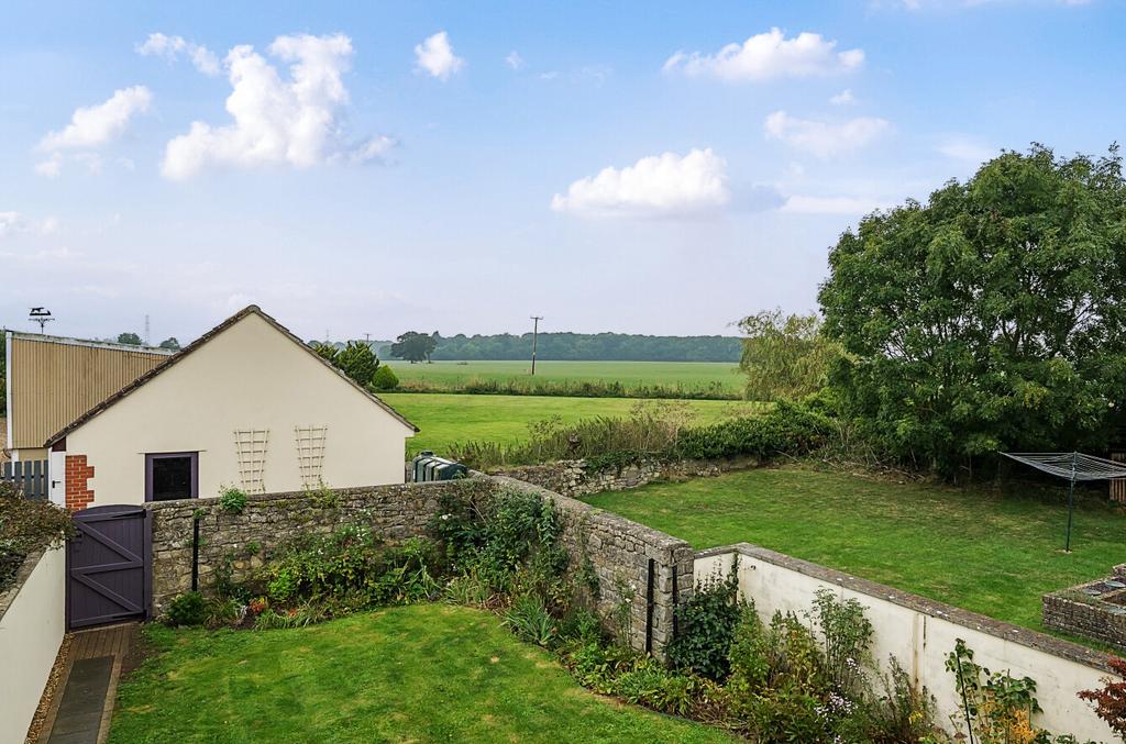 Back Garden