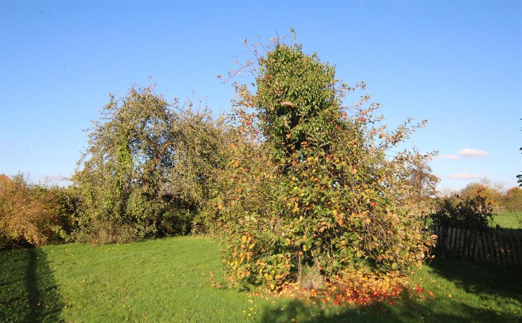 Yew Tree Cottage   Rear Garden  b.JPG