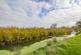 Additional image 20 of Marsh View, Church Farm Holiday Park, Aldeburgh