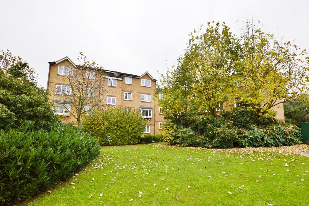 dsc1251.jpg