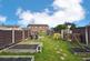 Veg Patch