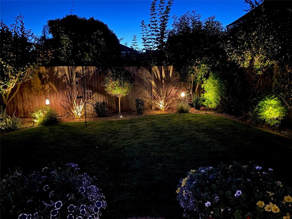 Garden At Night