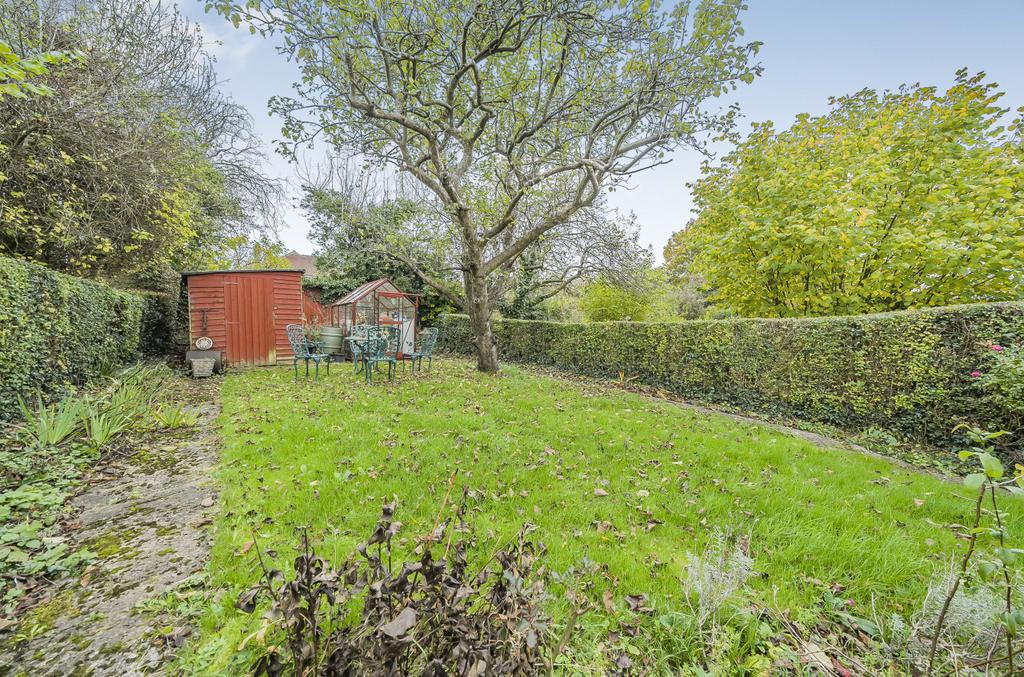 Hedgerow