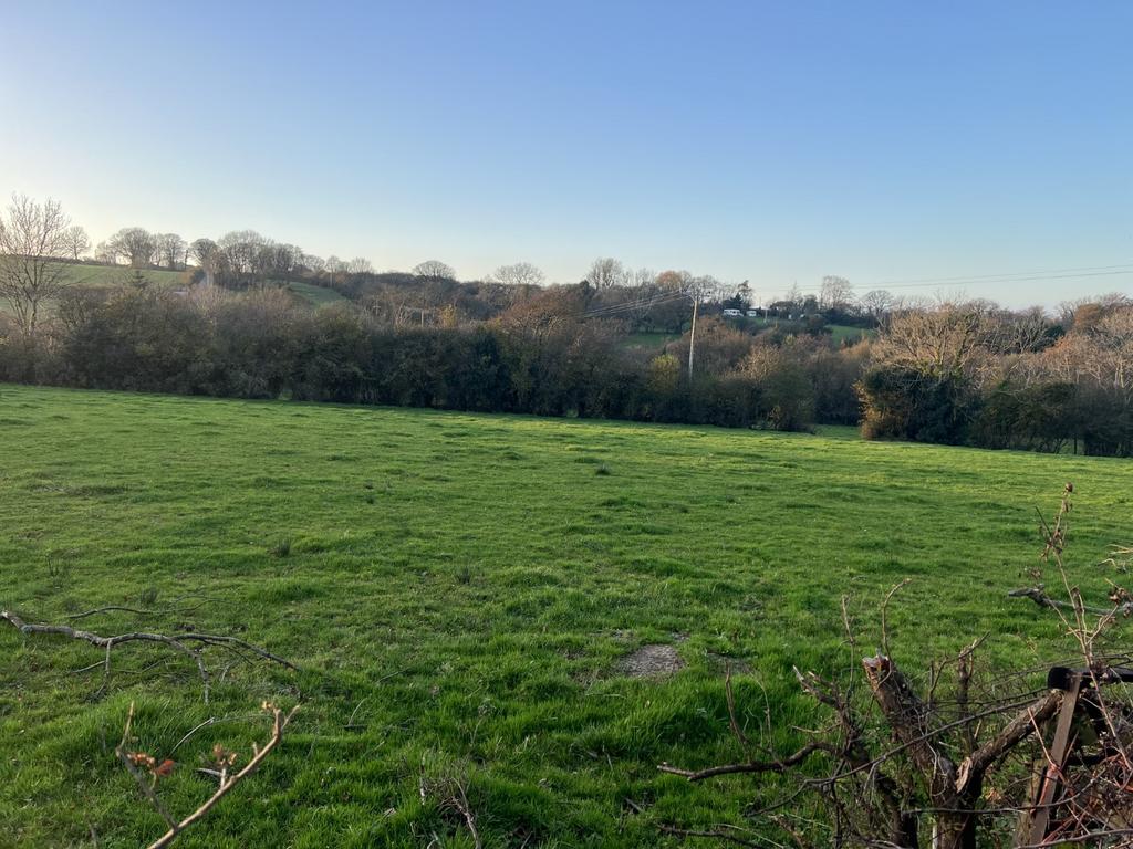 The land