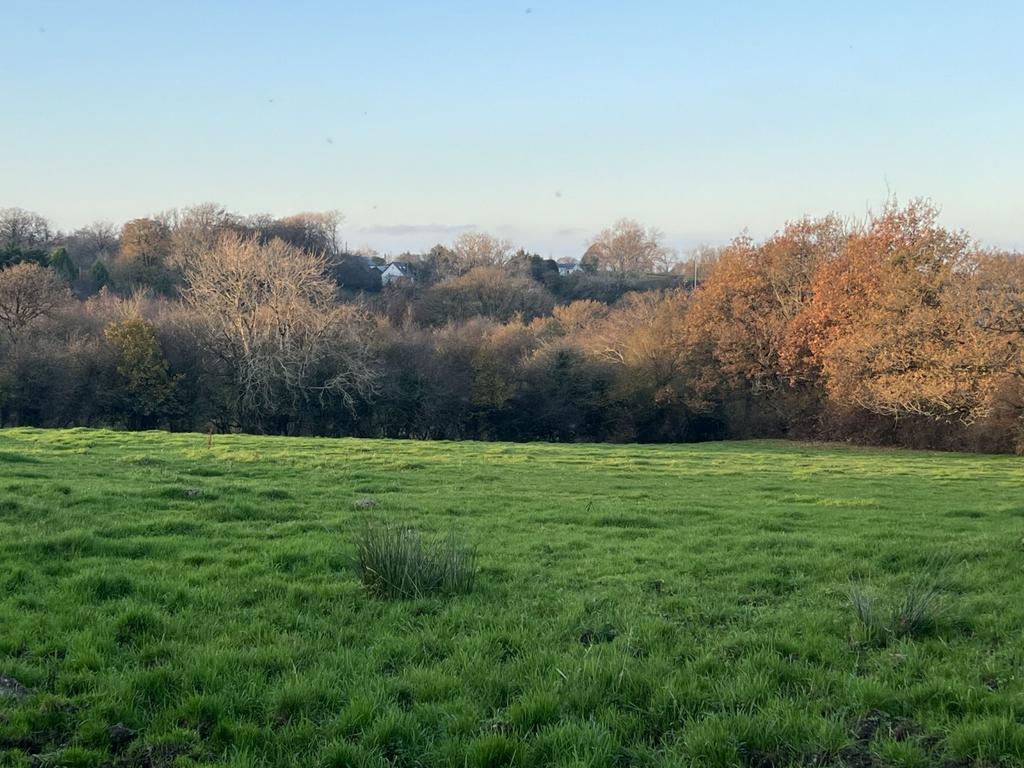 The land