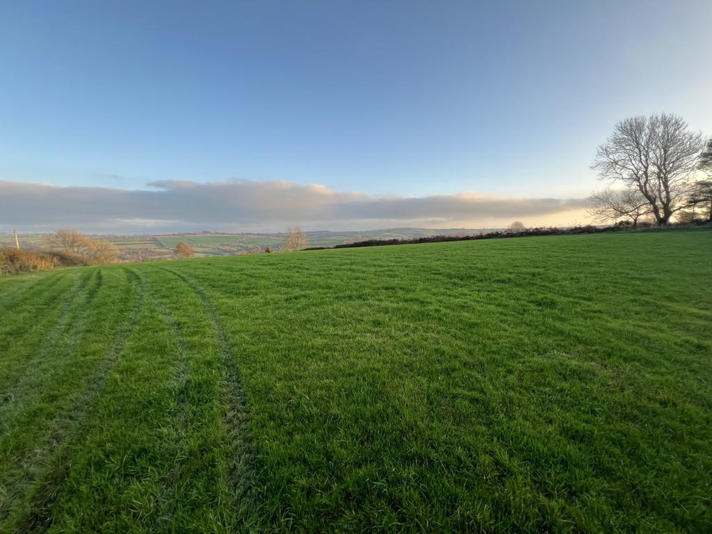 The land