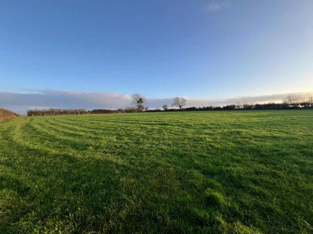 The land