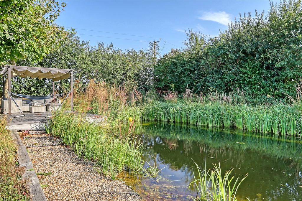 Natural Pond