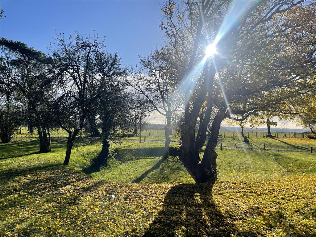 Garden &amp; Views