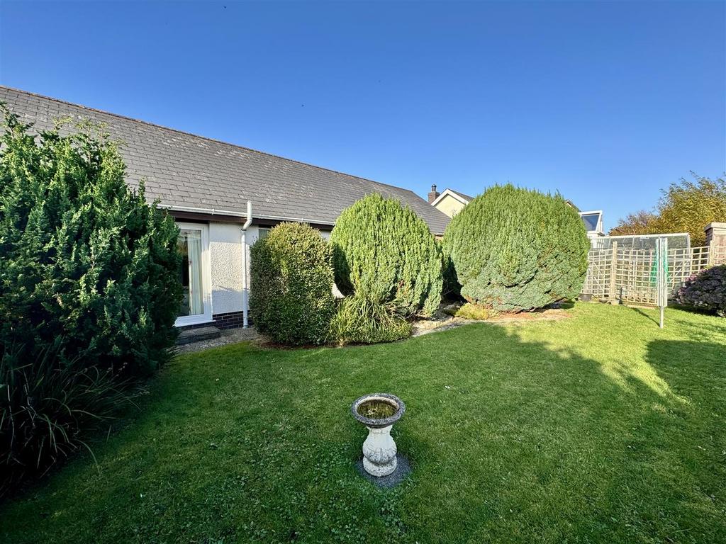 IMG 1339.jpeg