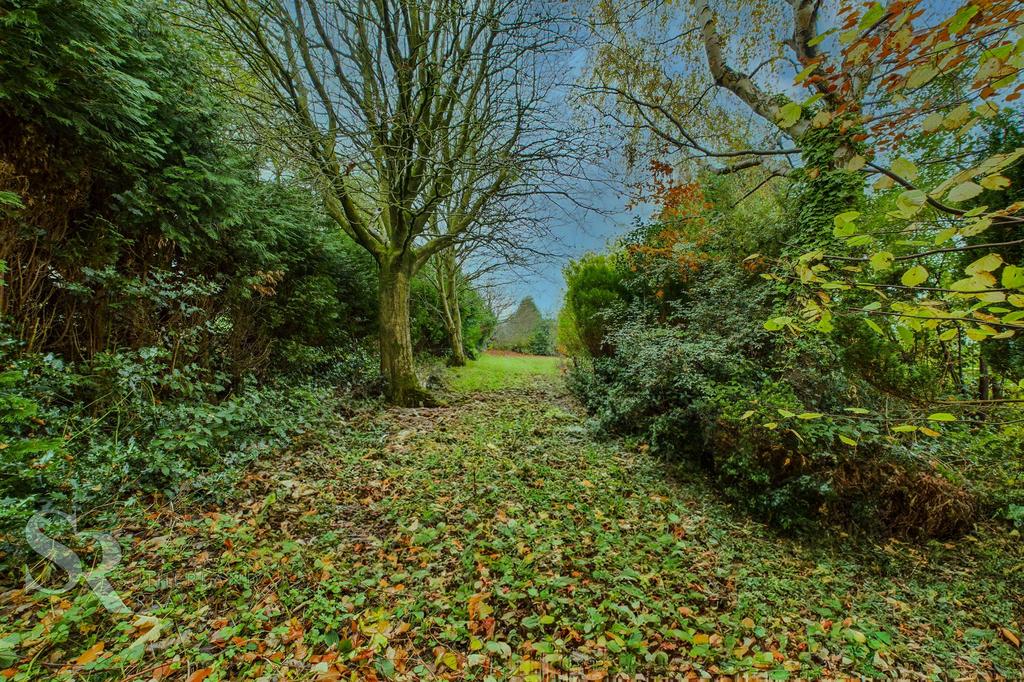 Rear Garden Lawn