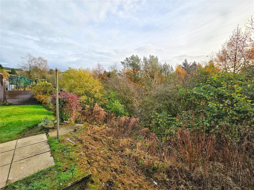 Woodland Outlook