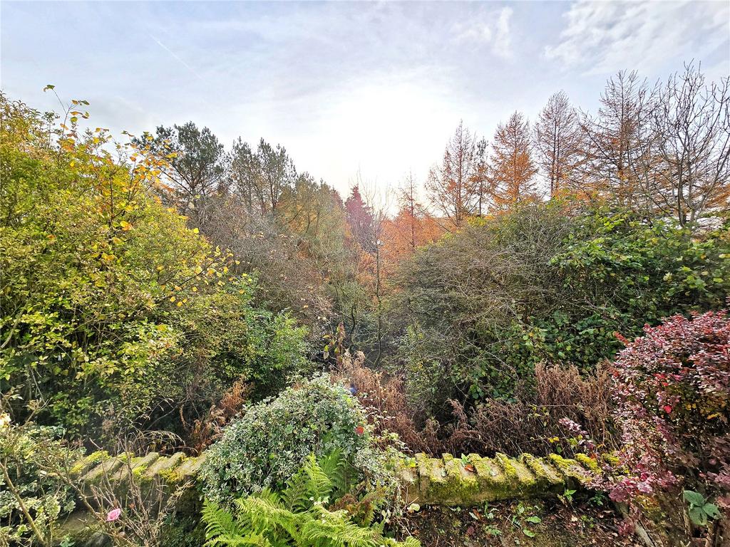 Woodland Outlook