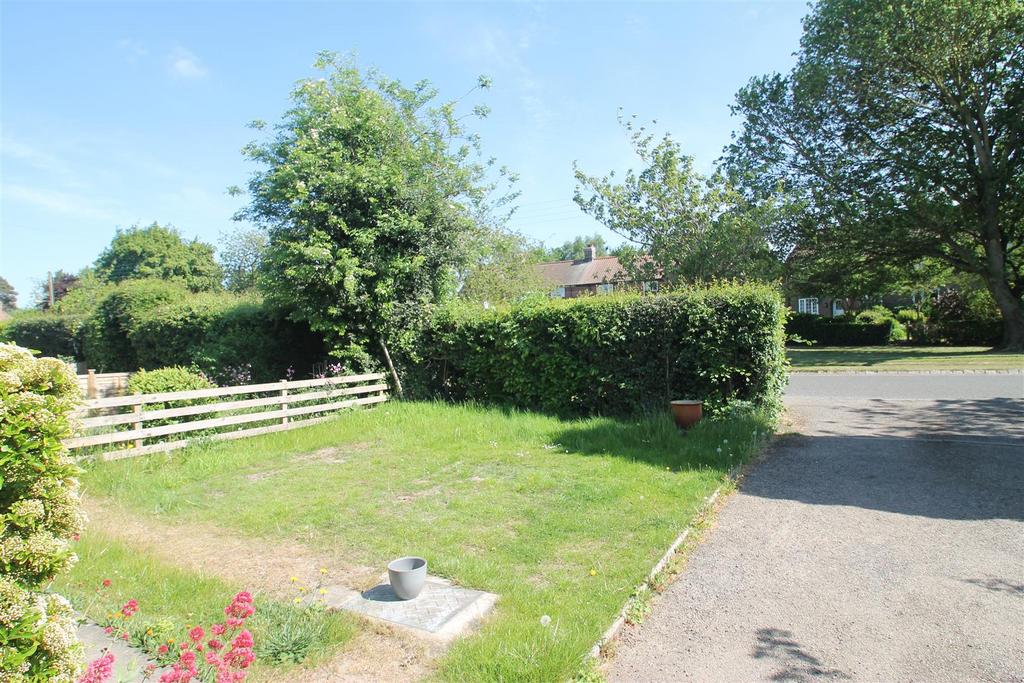 Front garden.JPG