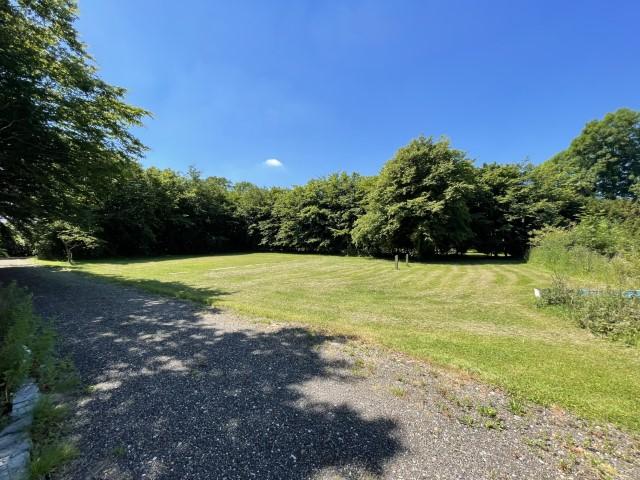 19 (Small) T202406271630.jpeg
