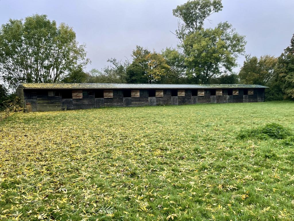 IMG 5381 T202411190947.jpeg