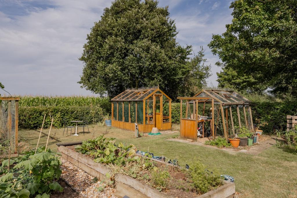 Vegetable Garden