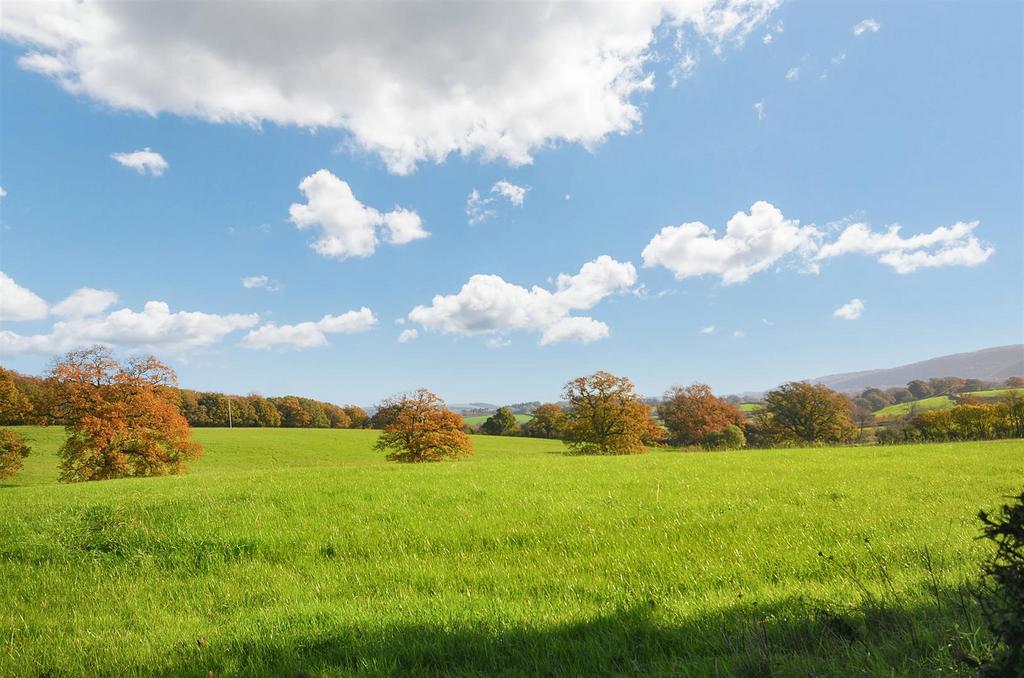 Adjacent Pasture