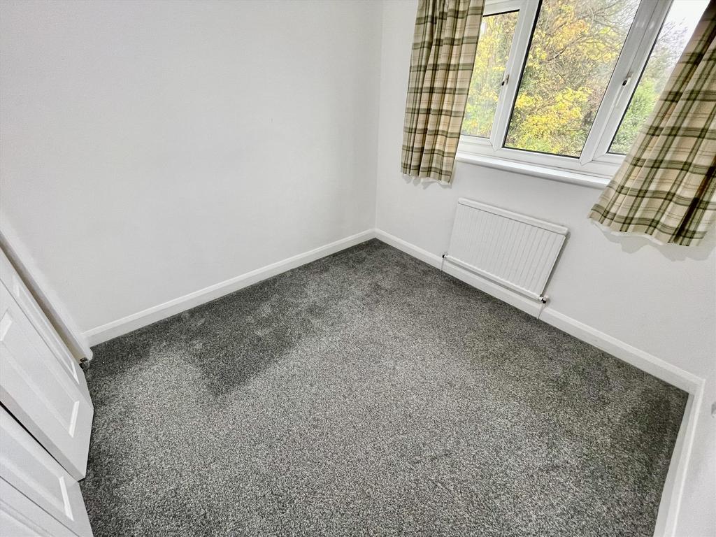 Img 7154